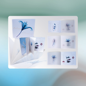 book edition carnets